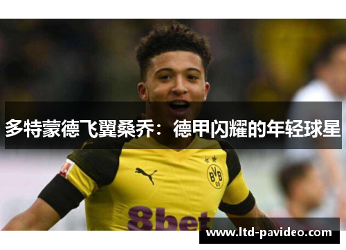 多特蒙德飞翼桑乔：德甲闪耀的年轻球星