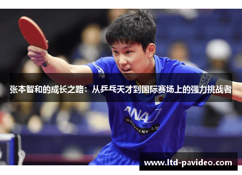张本智和的成长之路：从乒乓天才到国际赛场上的强力挑战者