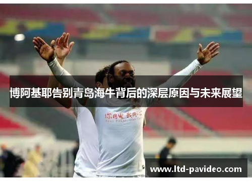 博阿基耶告别青岛海牛背后的深层原因与未来展望