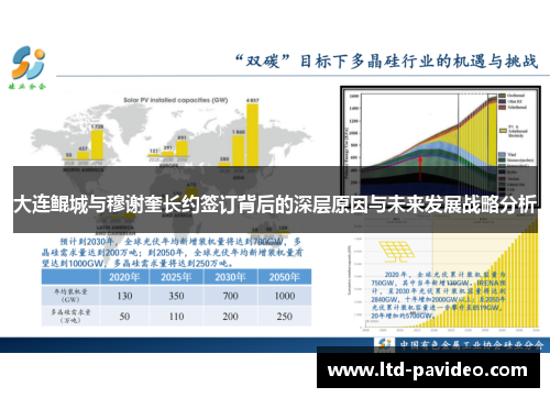 大连鲲城与穆谢奎长约签订背后的深层原因与未来发展战略分析