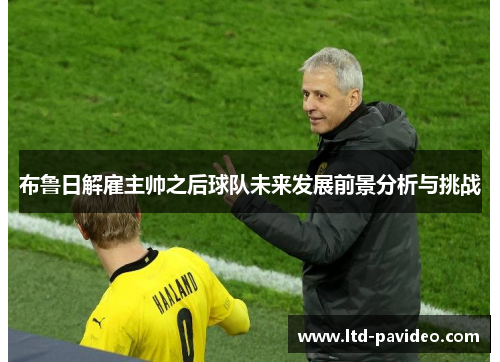 布鲁日解雇主帅之后球队未来发展前景分析与挑战