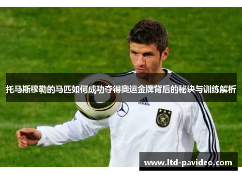 托马斯穆勒的马匹如何成功夺得奥运金牌背后的秘诀与训练解析