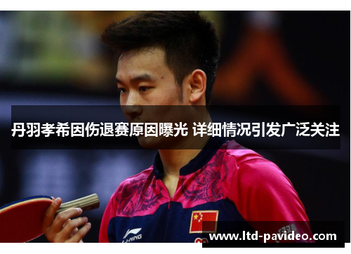 丹羽孝希因伤退赛原因曝光 详细情况引发广泛关注