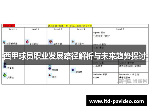 西甲球员职业发展路径解析与未来趋势探讨