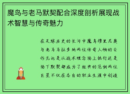 魔鸟与老马默契配合深度剖析展现战术智慧与传奇魅力